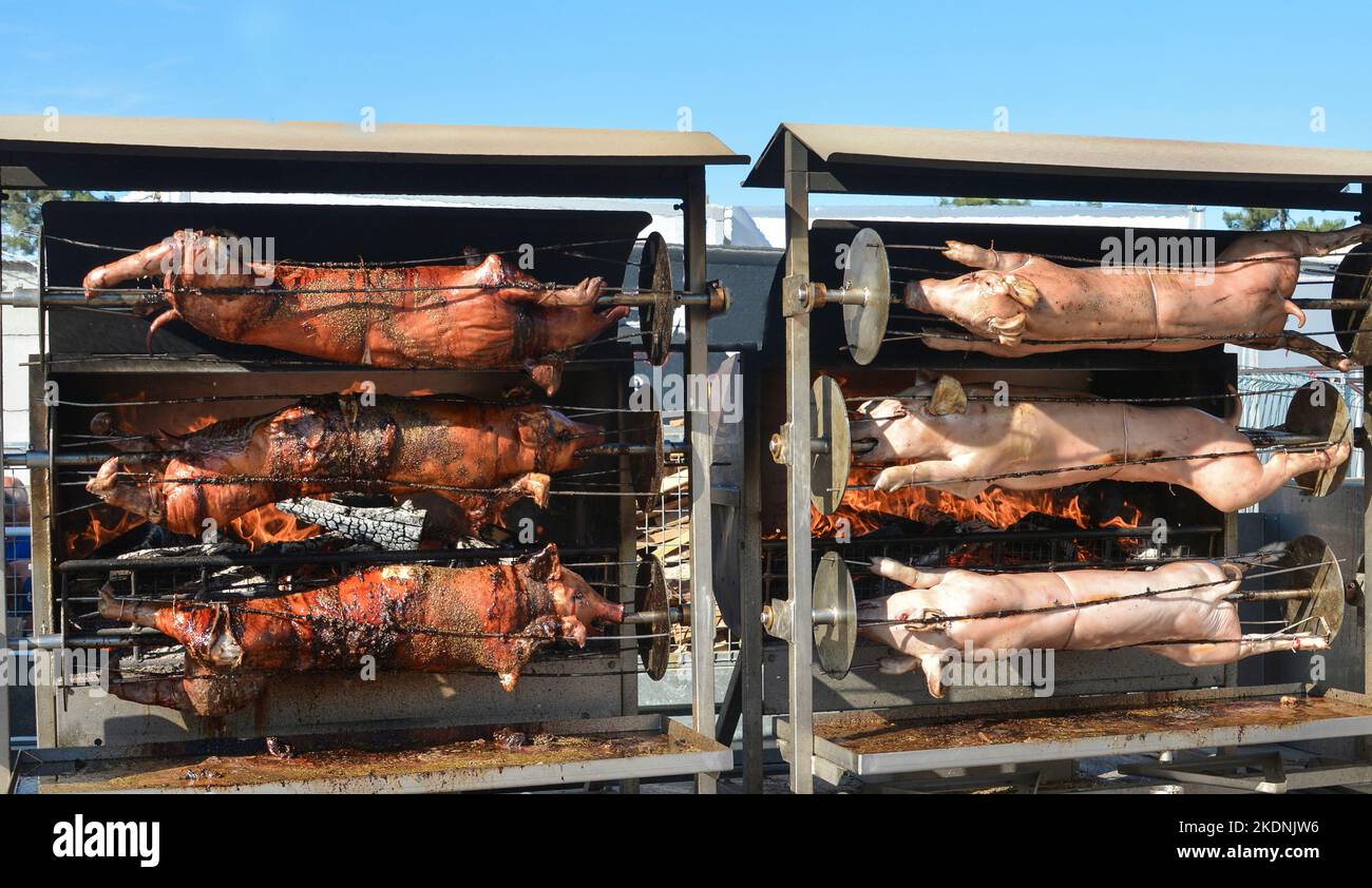 Young roasted piglets whole on a spit Stock Photo