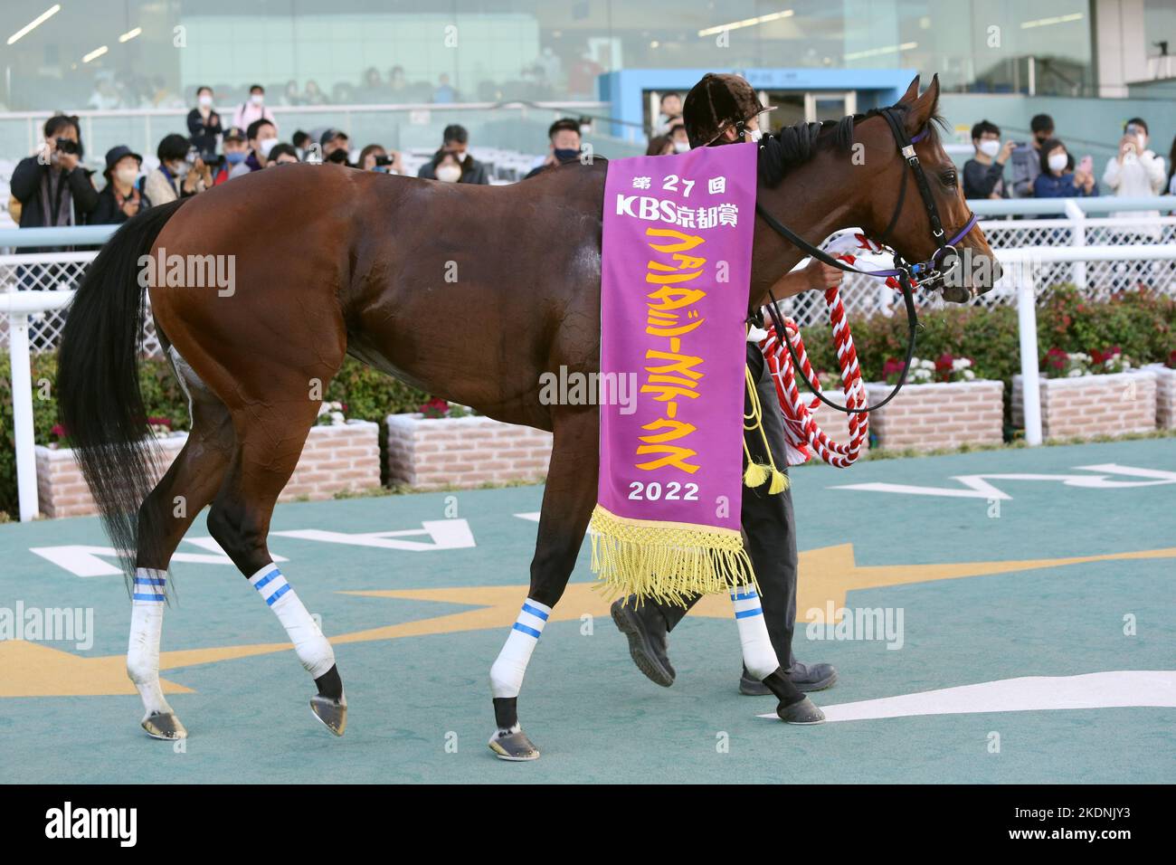 Rivara won the KBS Kyoto Sho Fantasy Stakes at Hanshin Racecourse in
