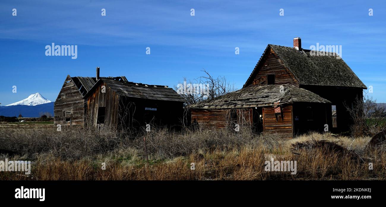 Old Farmstead in Oregon with views of Mt. Hood Stock Photo