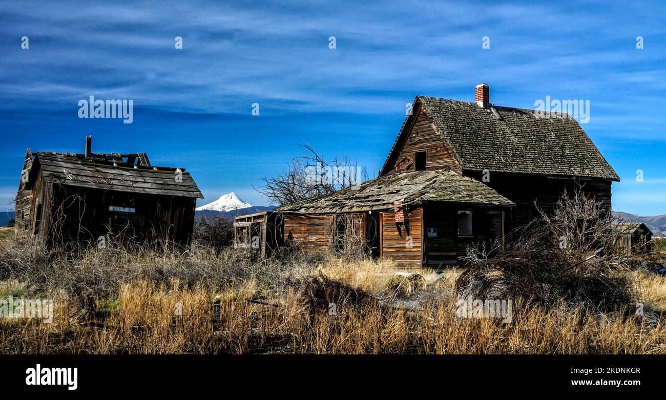 Old Farmstead in Oregon with views of Mt. Hood Stock Photo