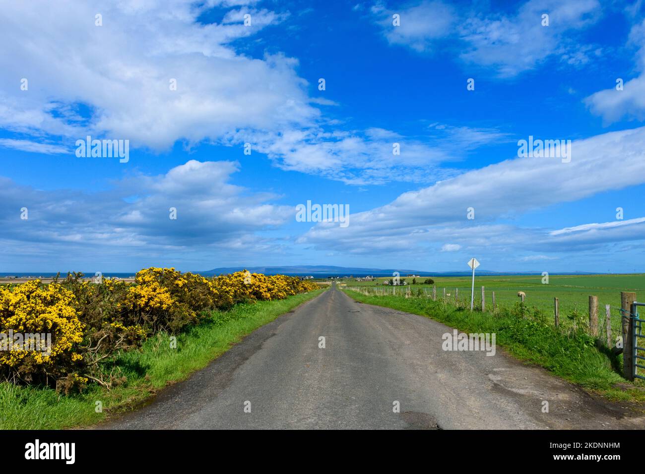 The road from the village of Mey to the village of Scarfskerry, near Thurso, Caithness, Scotland, UK.  The hills of Hoy, Orkney, in the distance. Stock Photo