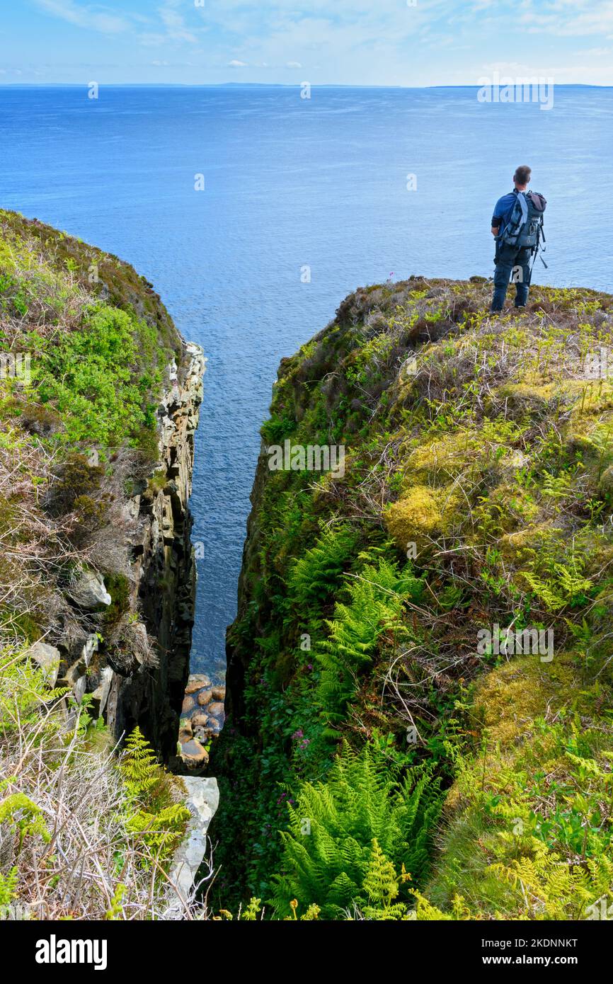 A walker stood on the cliff tops next to a geo at Meikle Score on the east side of Dunnet Head, Caithness, Scotland, UK Stock Photo