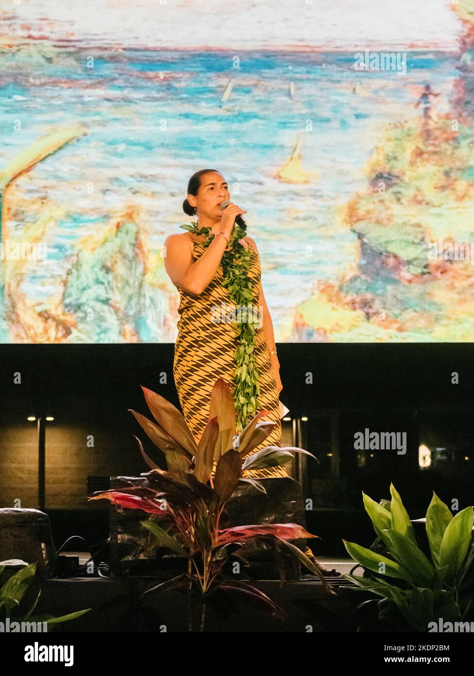 HONOLULU, HAWAII. Nov 4, 2022:  The 42nd Annual Hawaii International Film Festival presented by Halekulani at Bishop Museum (Photo by Lila Lee) Stock Photo