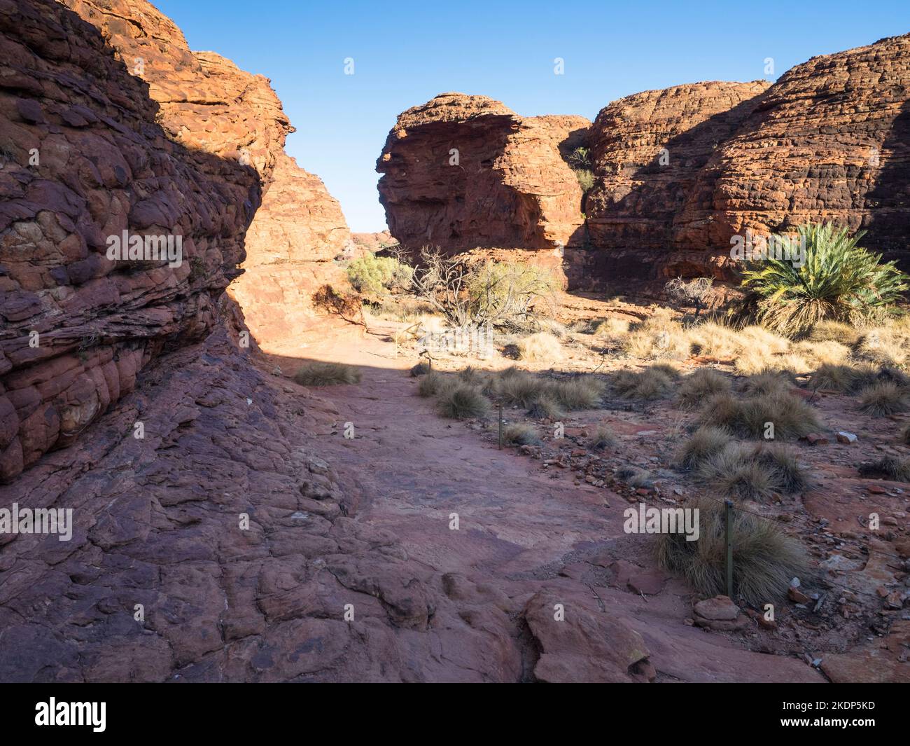 Orange sandstone rock domes on The Rim Walk  Kings Canyon, Watarrka National Park, NT, Australia Stock Photo