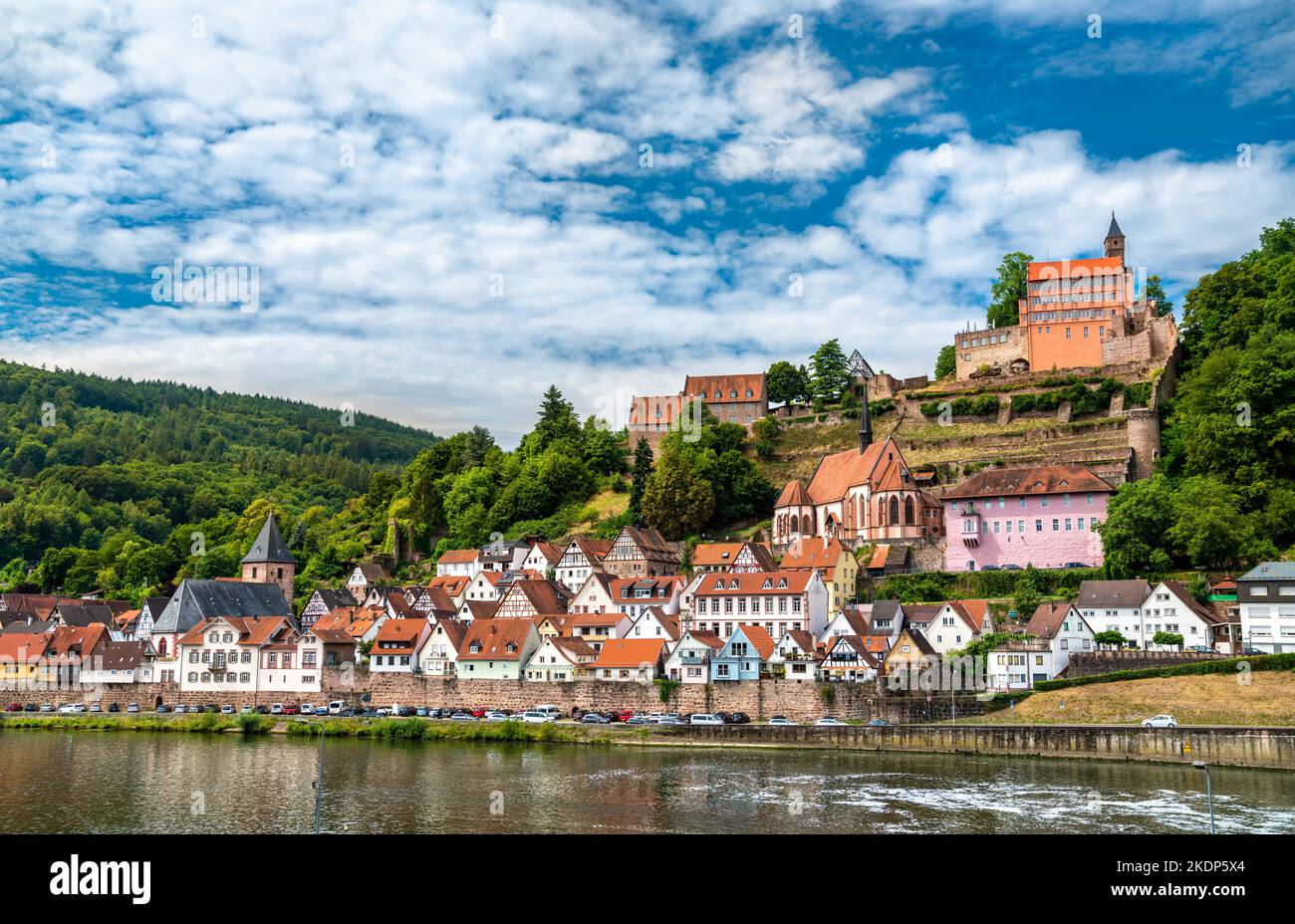 Hirschhorn town and castle on the Neckar river in Odenwald - Hesse ...