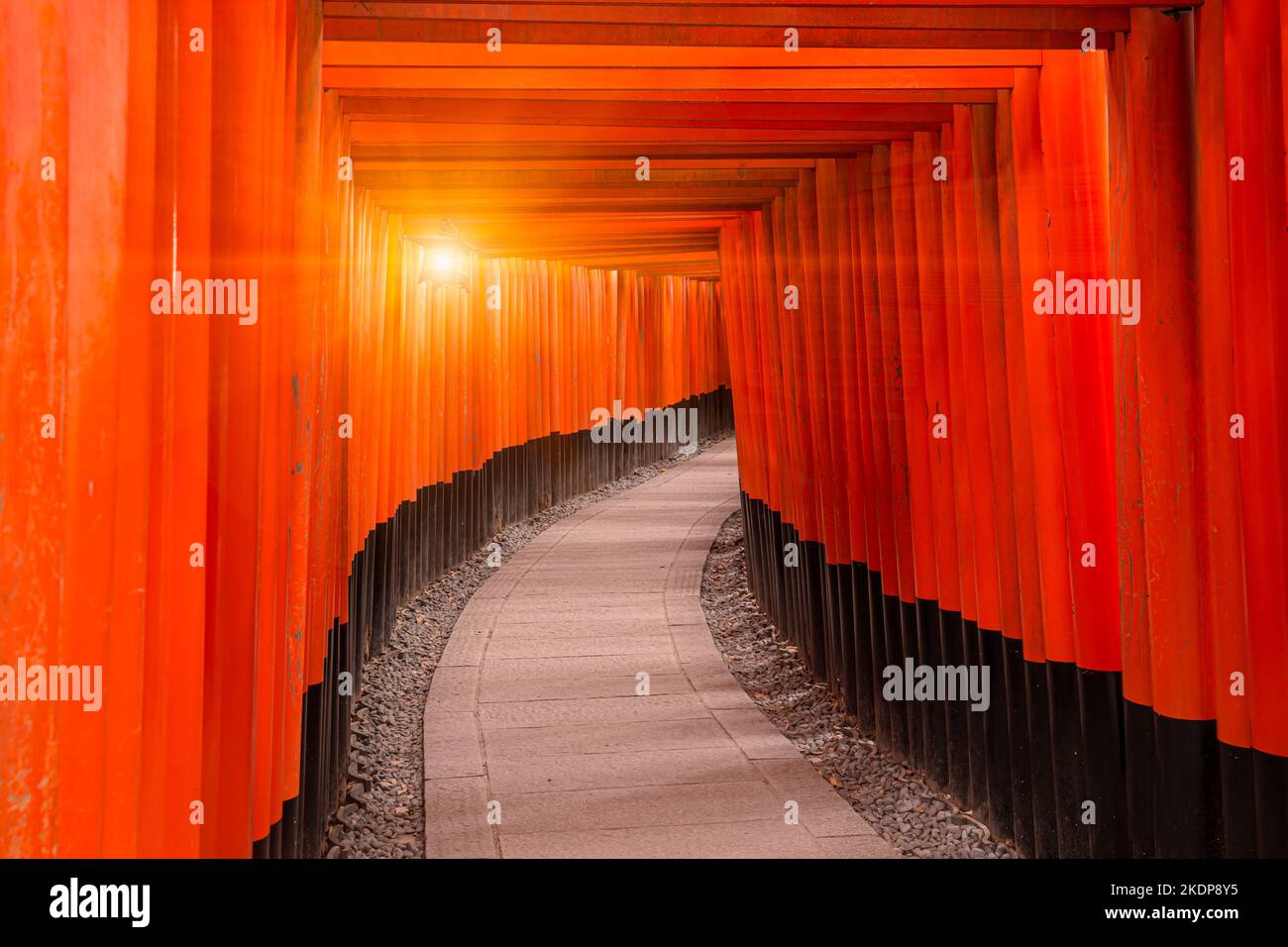 Red torii walk way at Fushimi inari taisha temple Kyoto most popular travel location in Kansai region Japan Stock Photo