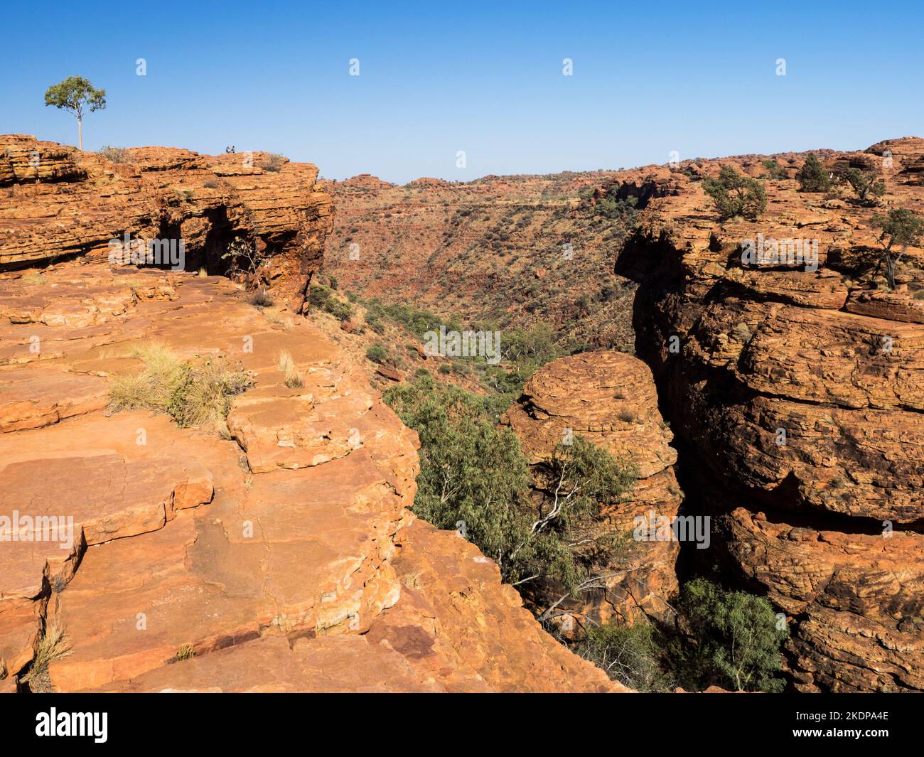 Kings Canyon From The South Wall, Watarrka National Park, Northern ...