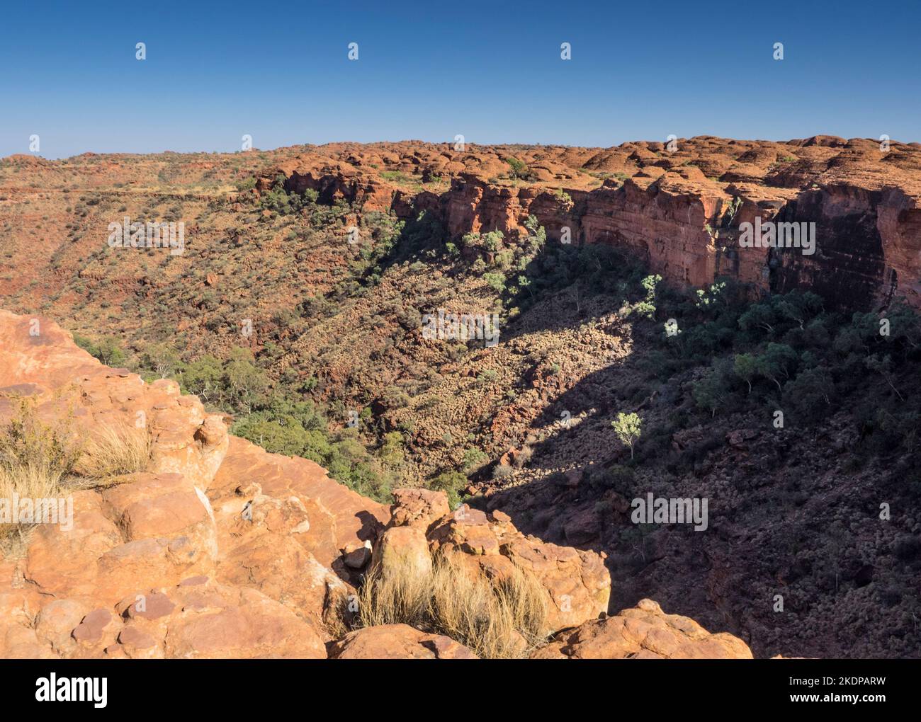 Kings Canyon from the South Wall of The Rim Walk, Watarrka National Park, Northern Territory, Australia Stock Photo