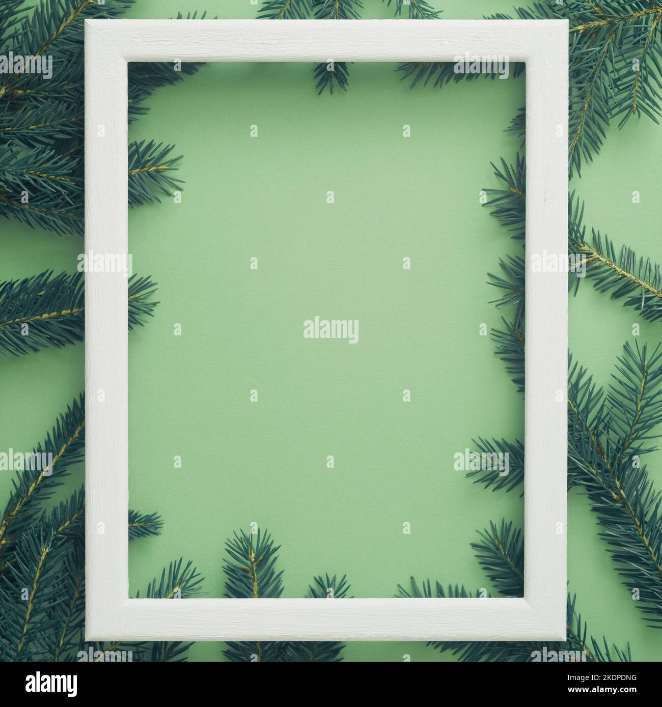 vertical Christmas frame with fir branches. mint green background