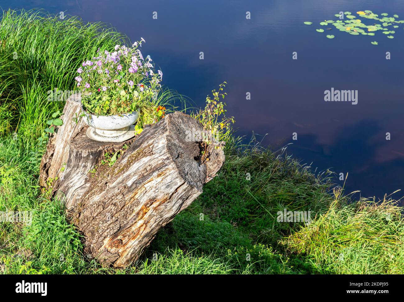 Decorative flowers in the metal vase on the old stump in summer sunny day Stock Photo