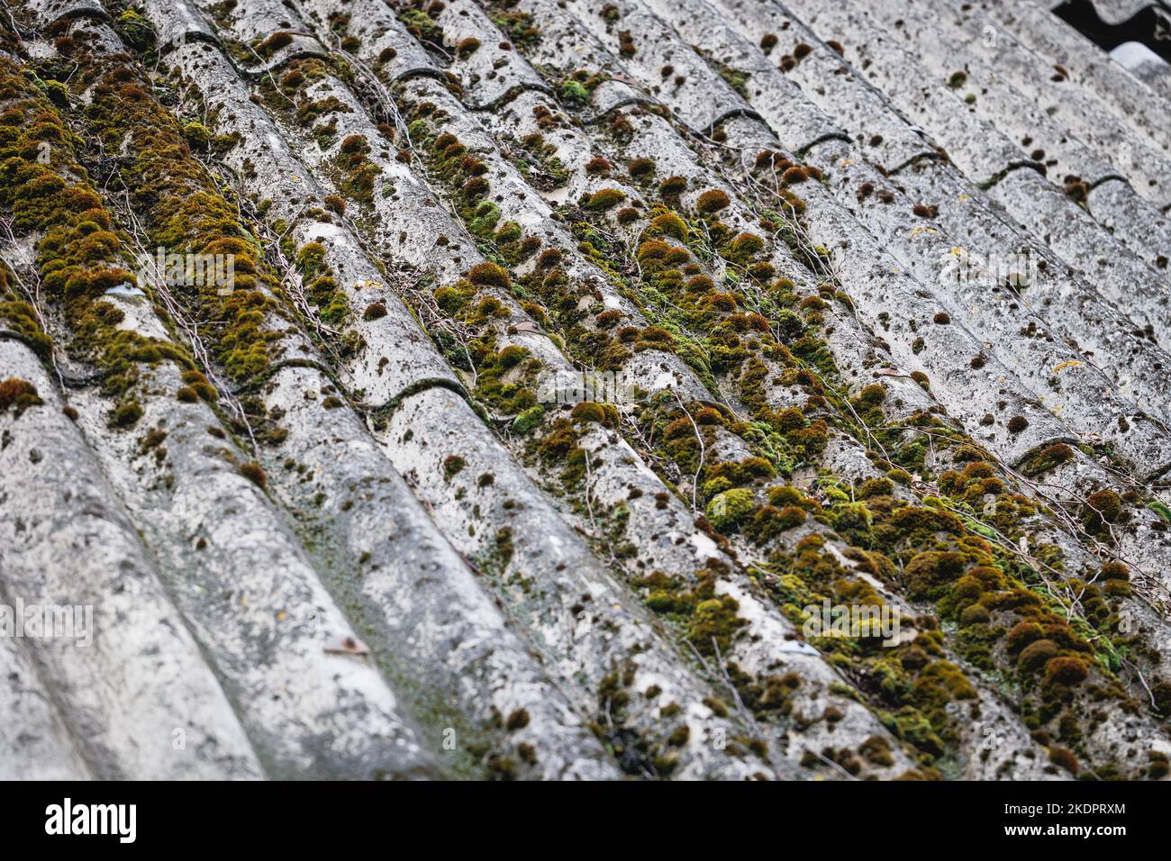 Close up on corrugated asbestos roof on byre building in Poland Stock Photo