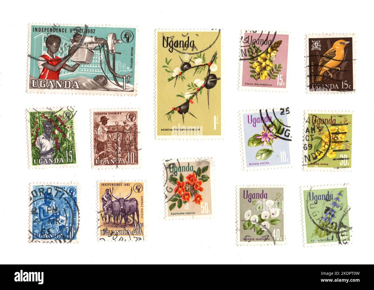 A montage of vintage postage stamps from Uganda on a white background ...