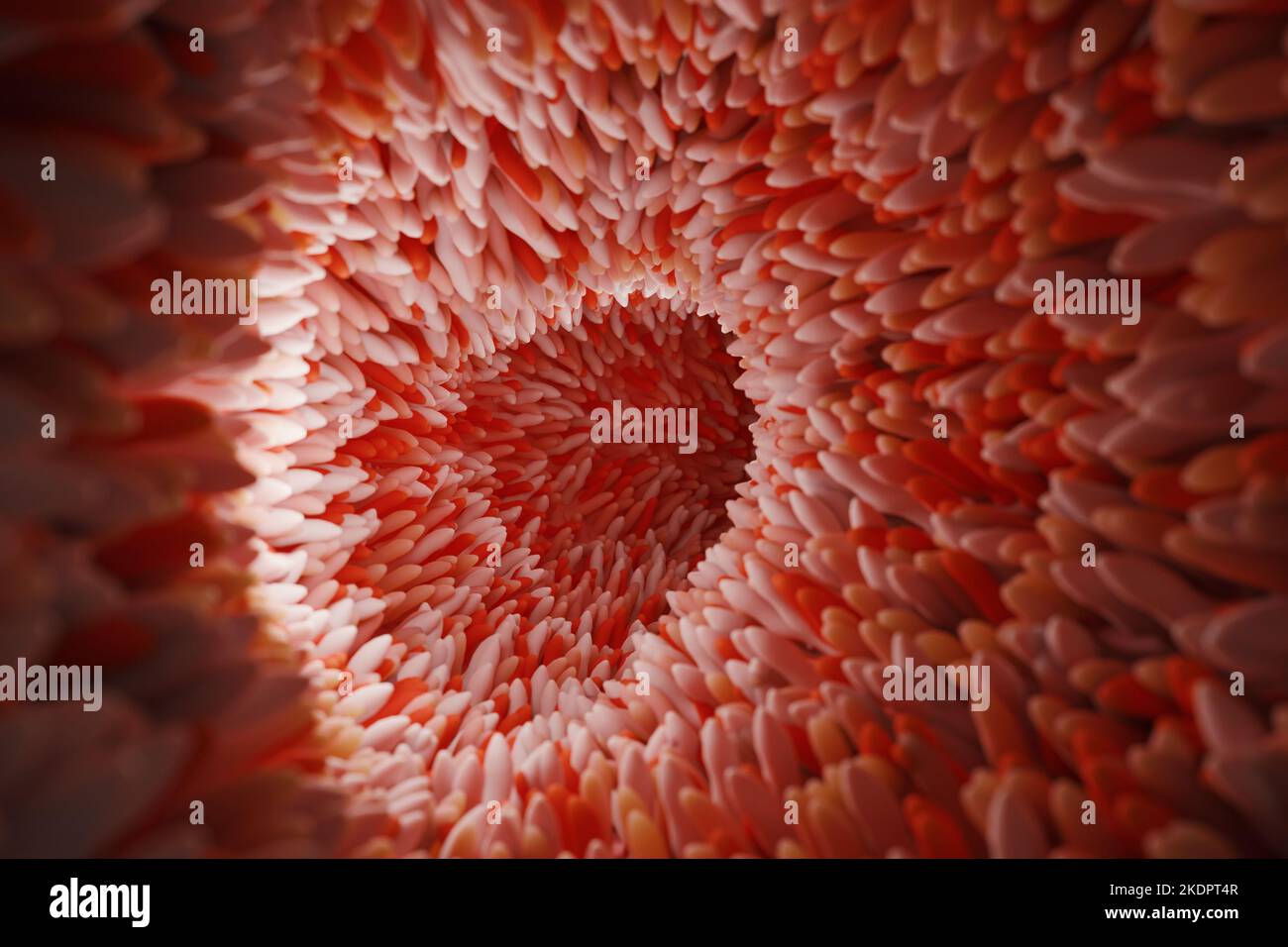 Microvilli on surface of digestive system or intestinal tract. 3D rendering. Stock Photo