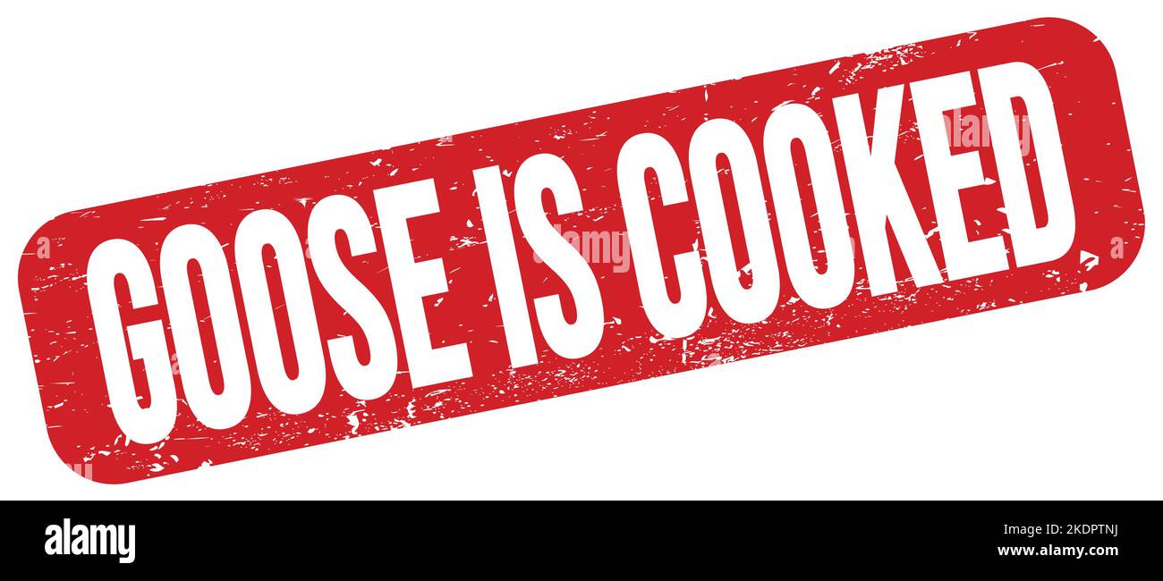 GOOSE IS COOKED text written on red grungy stamp sign. Stock Photo