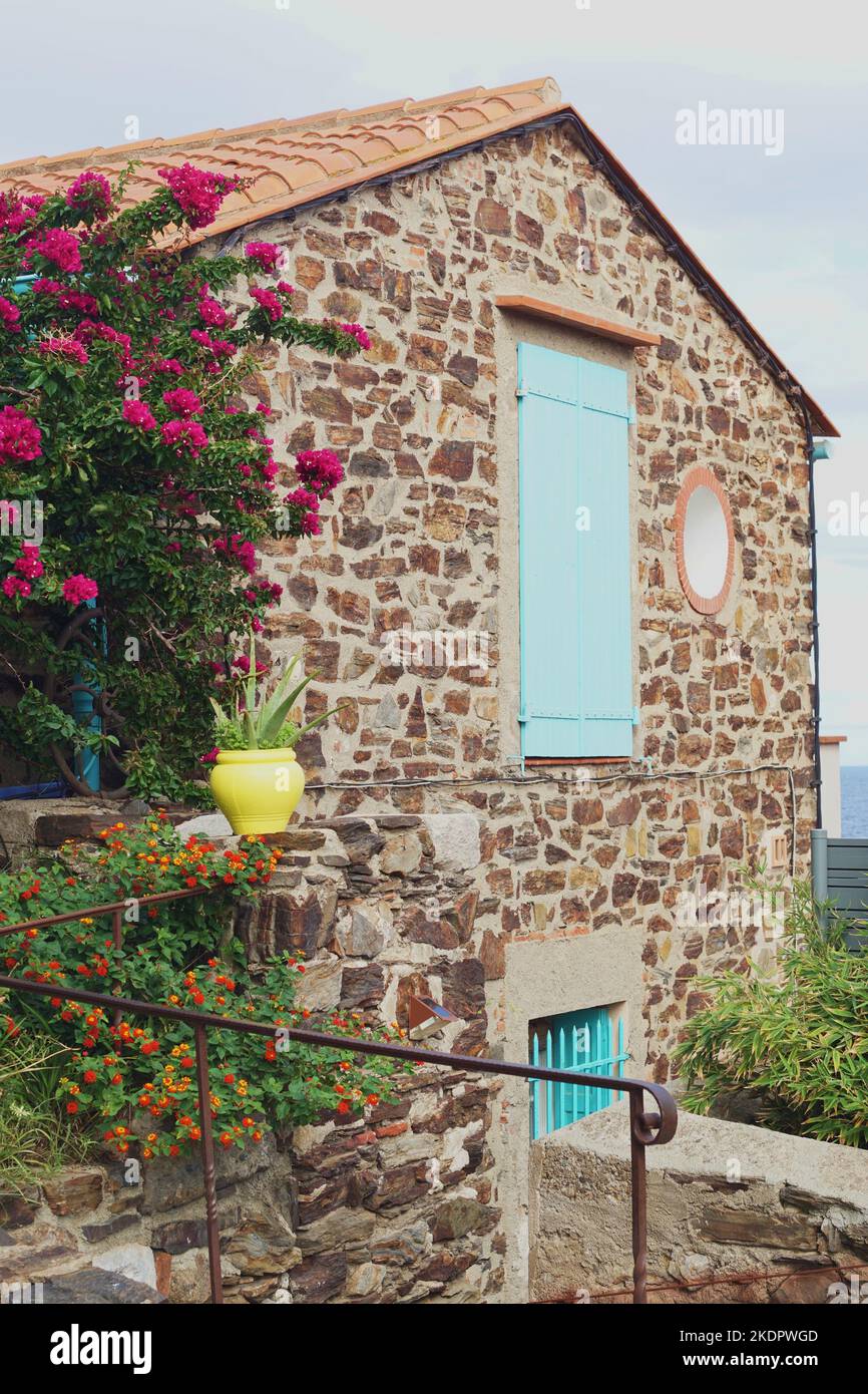 Stone house exterior wall in Mediterranean seaside town of Collioure, decorated with plant pot, flowers and blue wooden window shutter Stock Photo