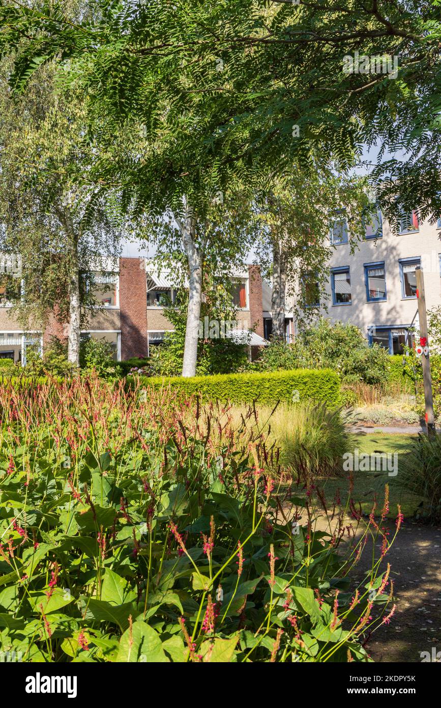 Leek, The Netherlands - September 10, 2022: Green and cozy garden of nursing home Vredewold in Leek, municipallity Westerkwartier Groningen province i Stock Photo