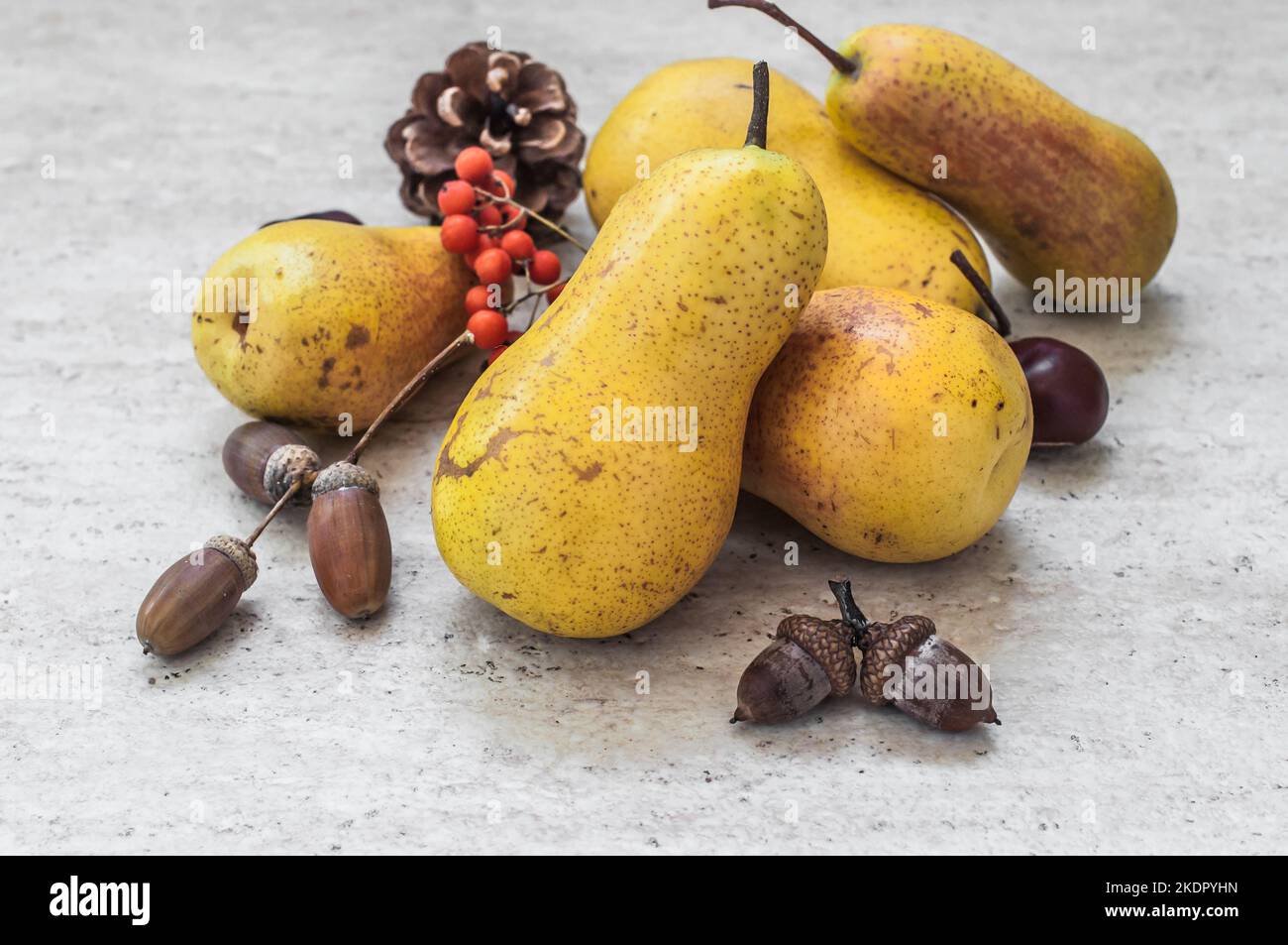 Still life of yellow pear, rowan twigs, acorns, chestnuts and cones. Stock Photo
