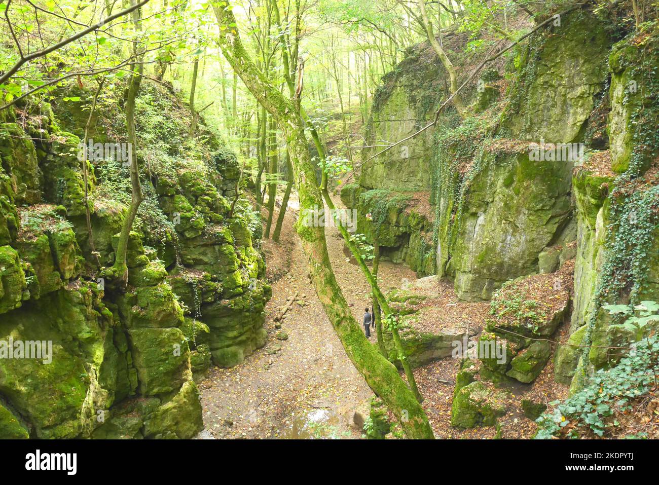 Hikers in the Gaja Gorge, Romai Furdo, the temporarily dried up Roman Baths waterfall,  Bakonyi Hills, Hungary Stock Photo
