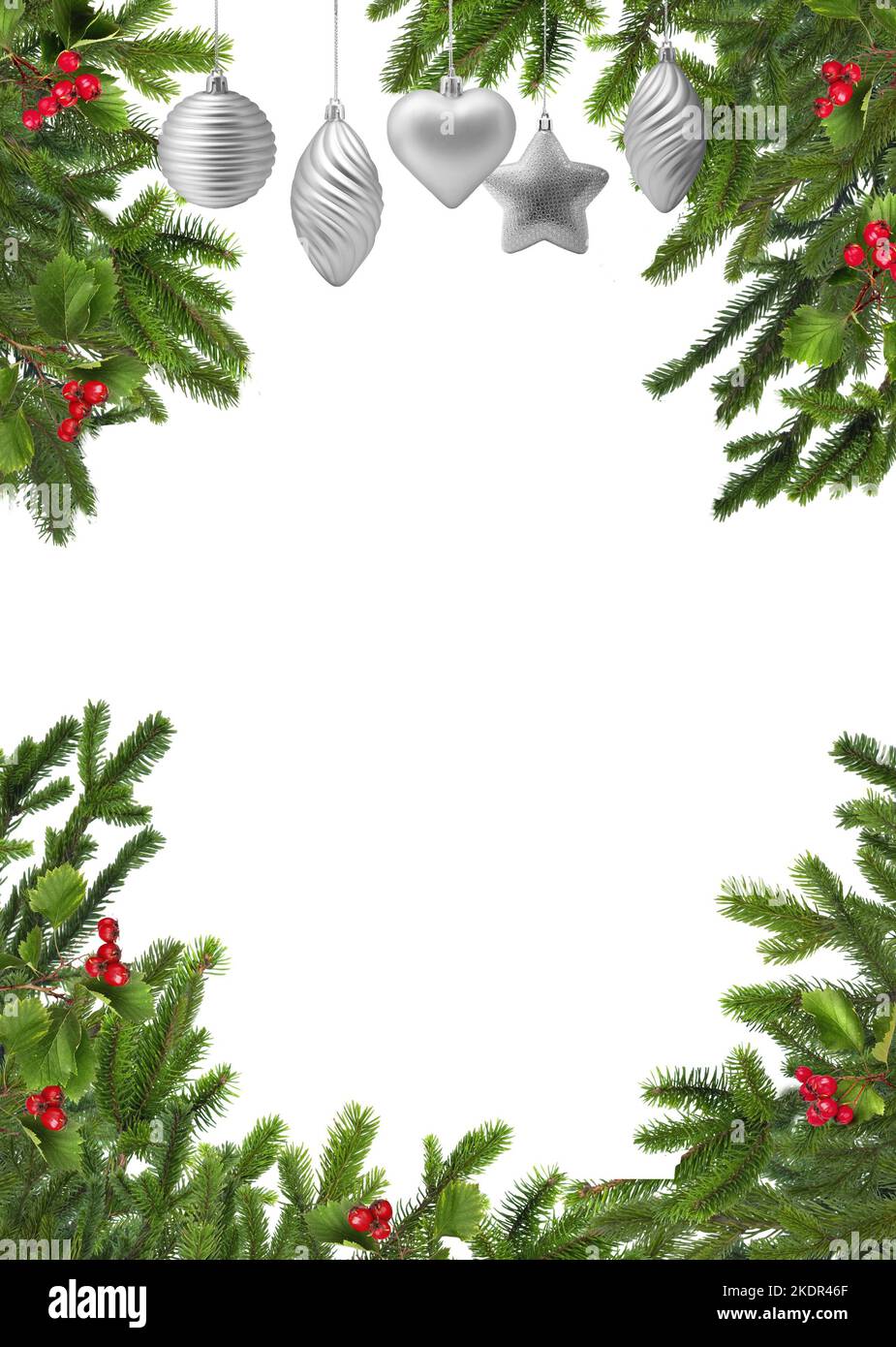 Green Christmas tree branches frame with red hawthorn berries and ...