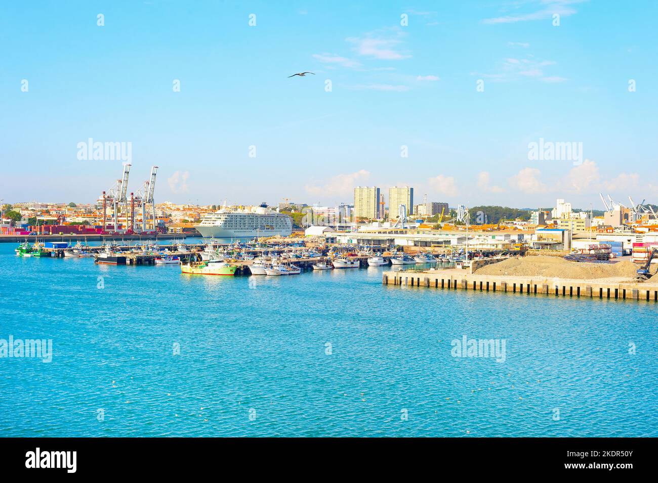 Leixoes port view, seagull, cruise ship, motorboats moored by pier, freight cranes, apartment buildings in backgroud Stock Photo