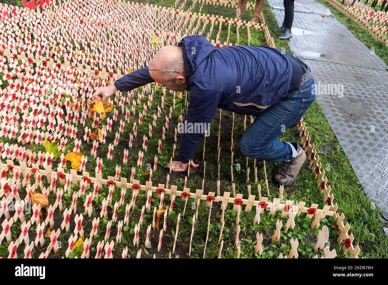 london-uk-8-november-2022-a-poppy-factory-volunteer-removes-leaves