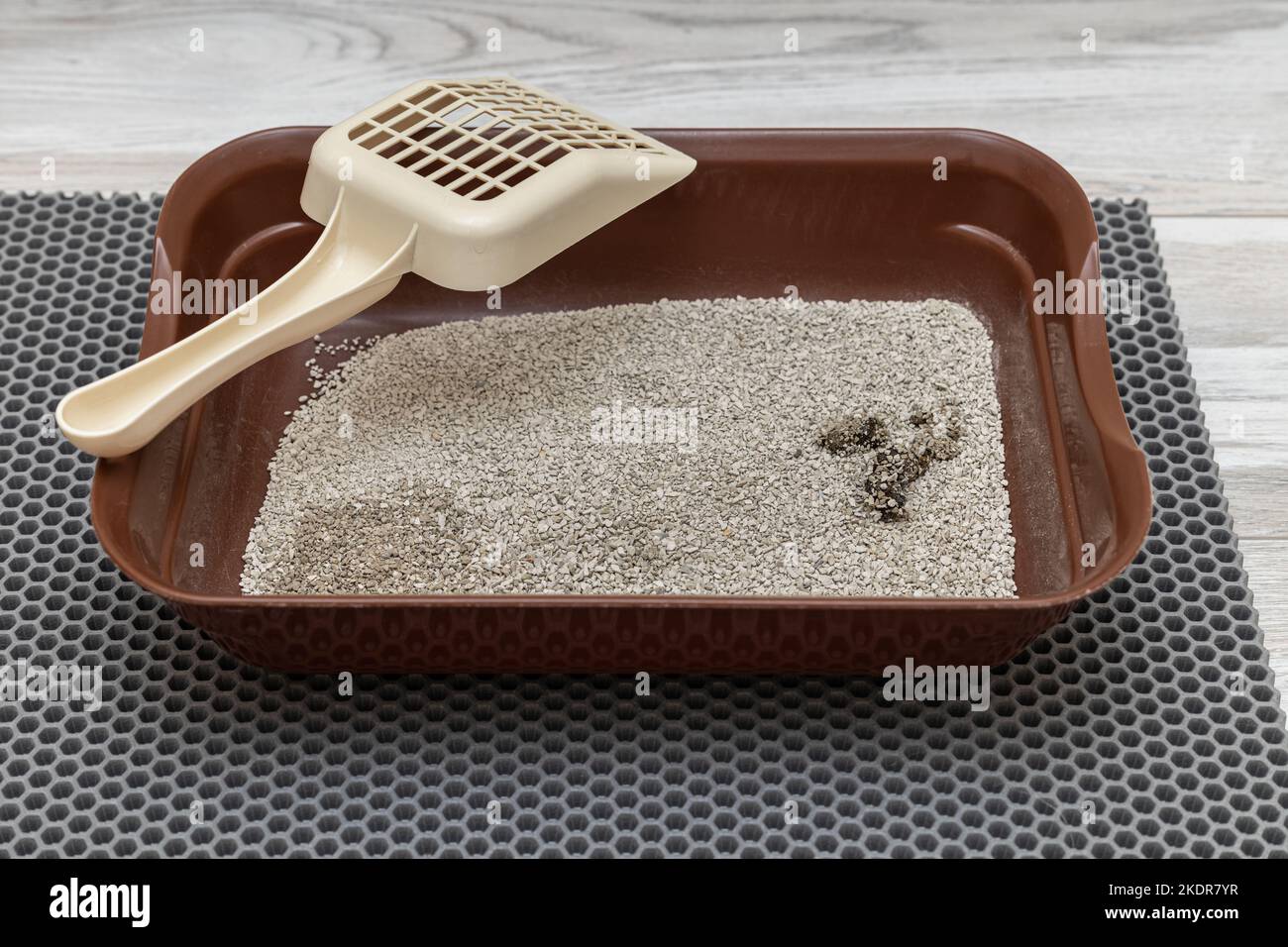 cat litter after the cat went into it. pet tray cleaning. High quality photo Stock Photo Alamy