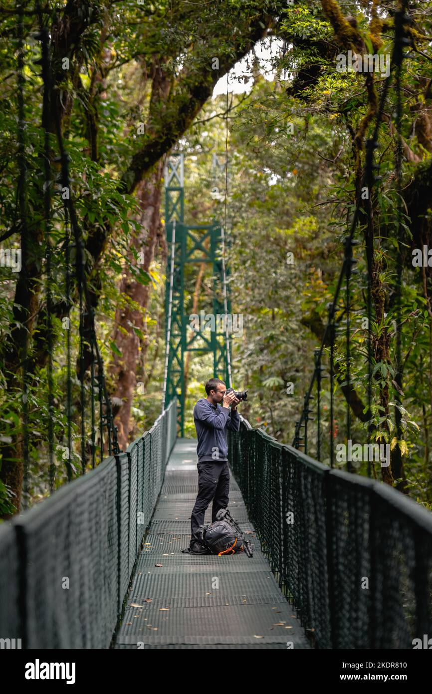 Rainforest Photography Stock Photo