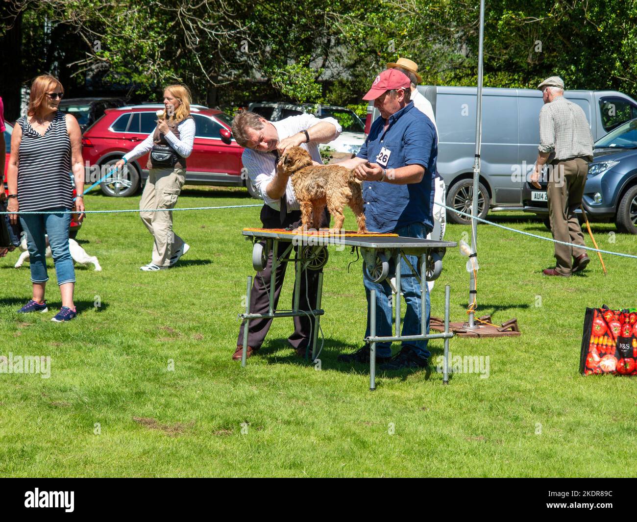 Patterday Country & Dog Fair, Dog show and competition Stock Photo Alamy