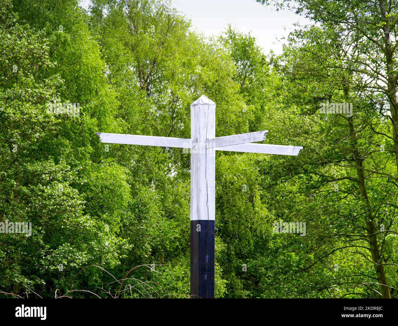 Blank wooden sign showing in three directions. Picture from a