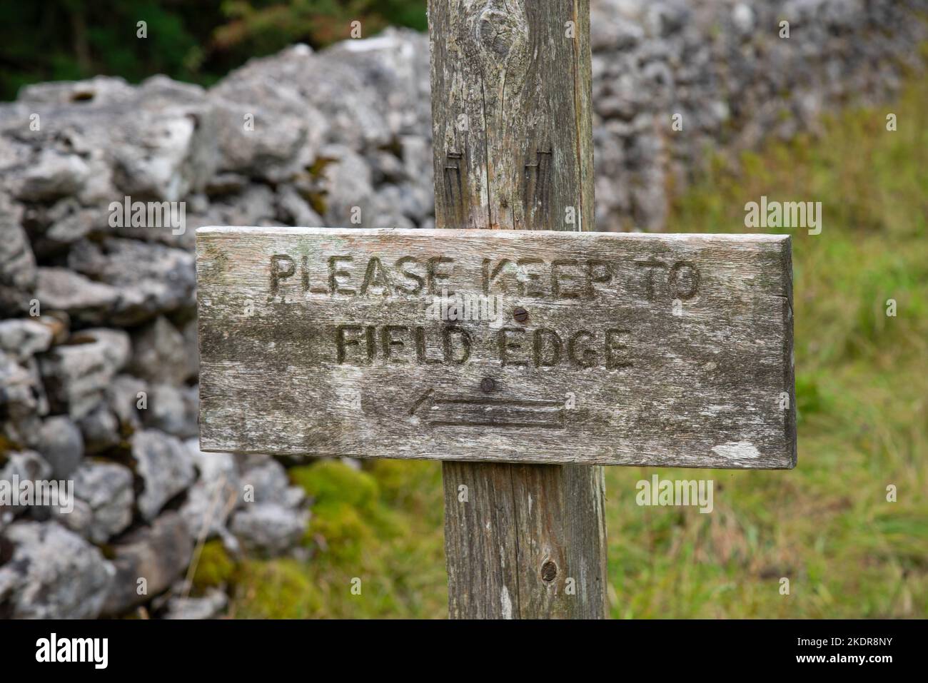 Wooden sign "Please keep to the field edge" in the Deepdale in the