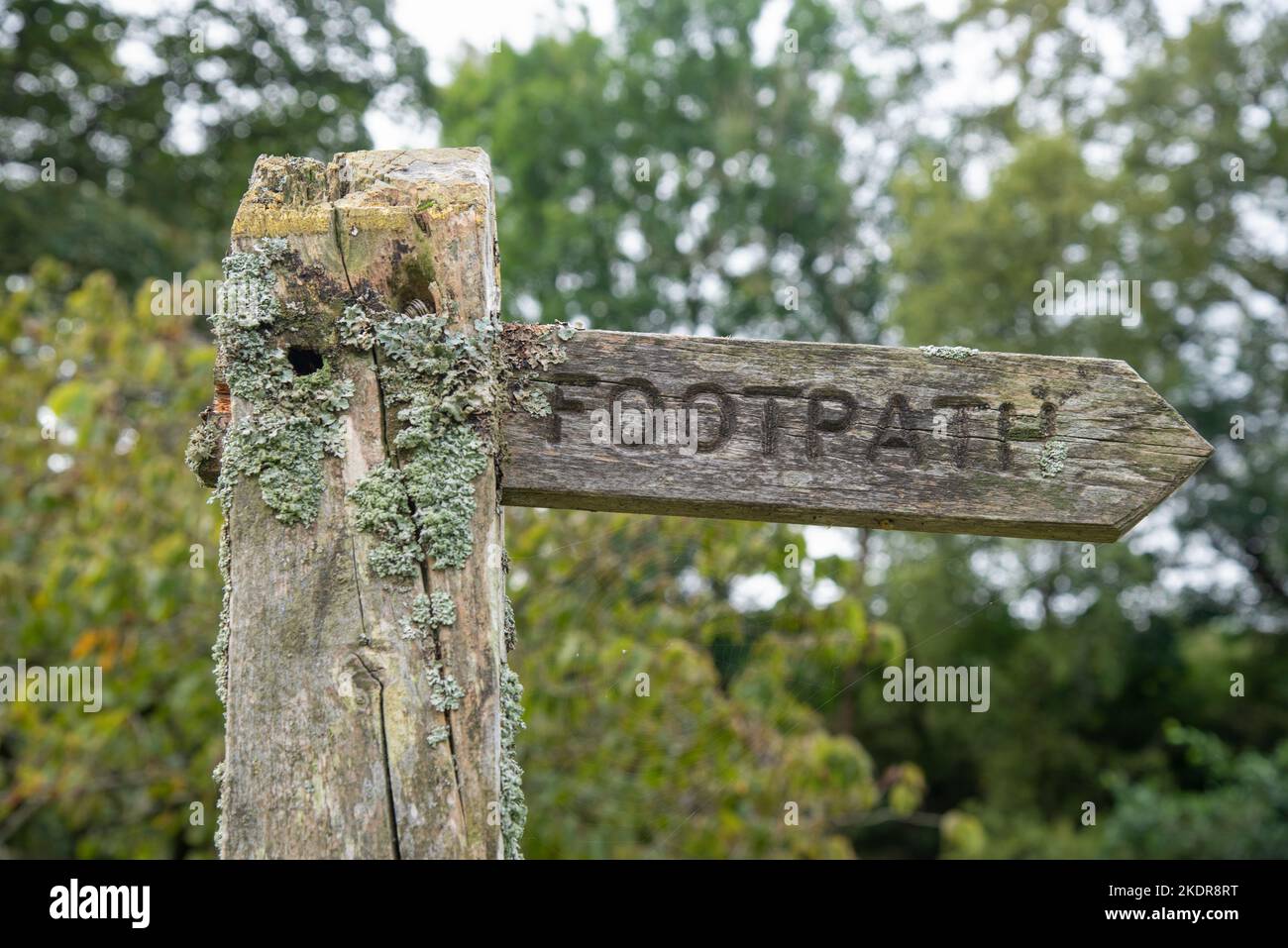 Wooden signpost "Footpath" in the Deepdale in the Yorkshire Dales in England, UK. Stock Photo