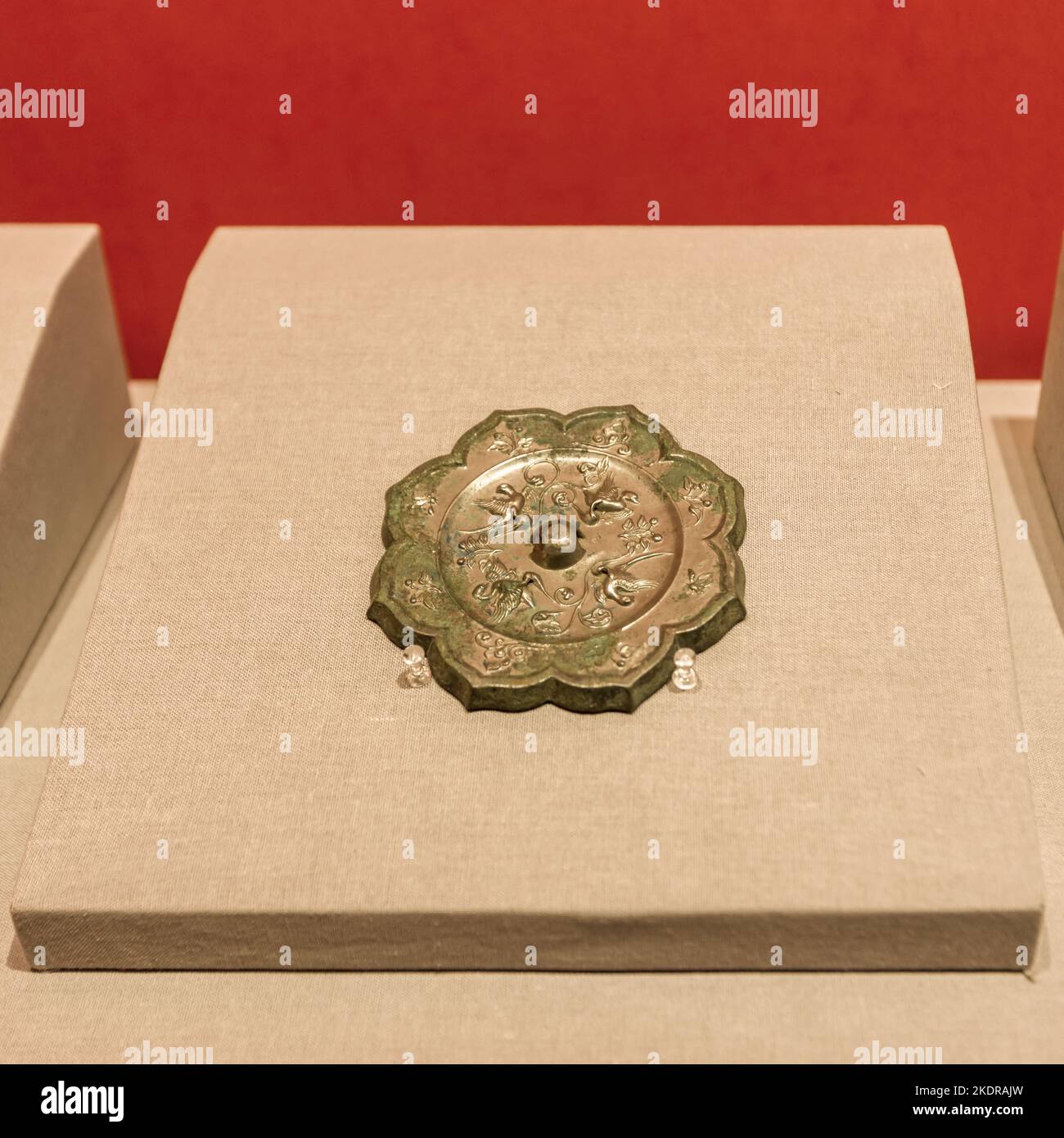 The tang dynasty palace finches around the cuttlefish wen ling fancy