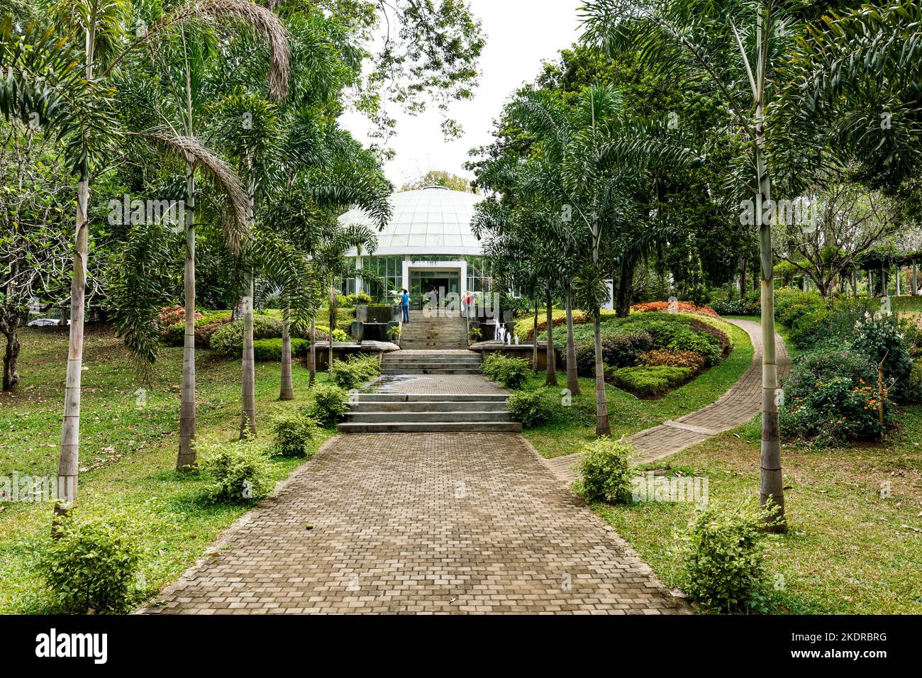 Greenhouse with Tropical Green Vegetation. Royal Botanic King Gardens