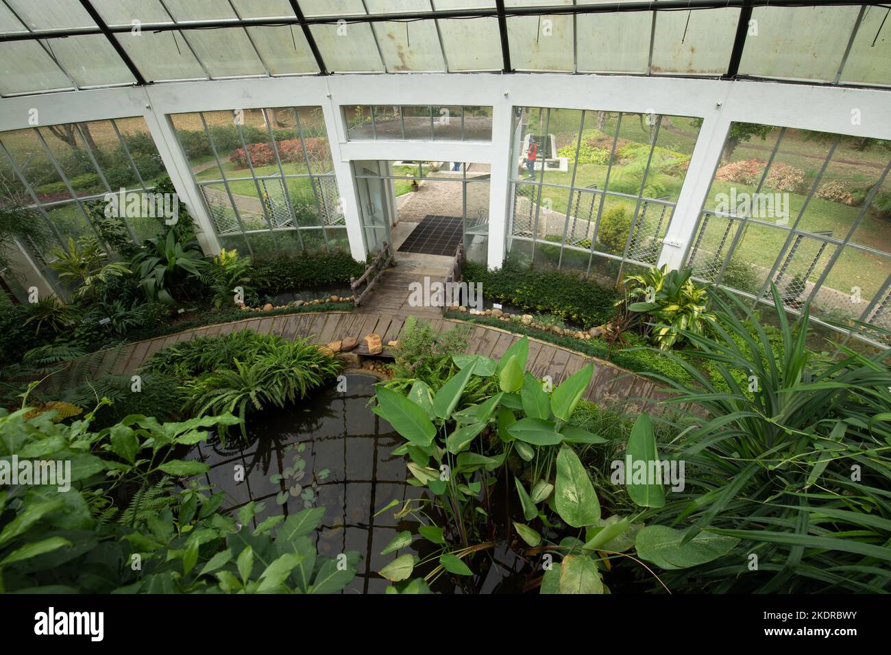 Greenhouse with Tropical Green Vegetation. Royal Botanic King Gardens