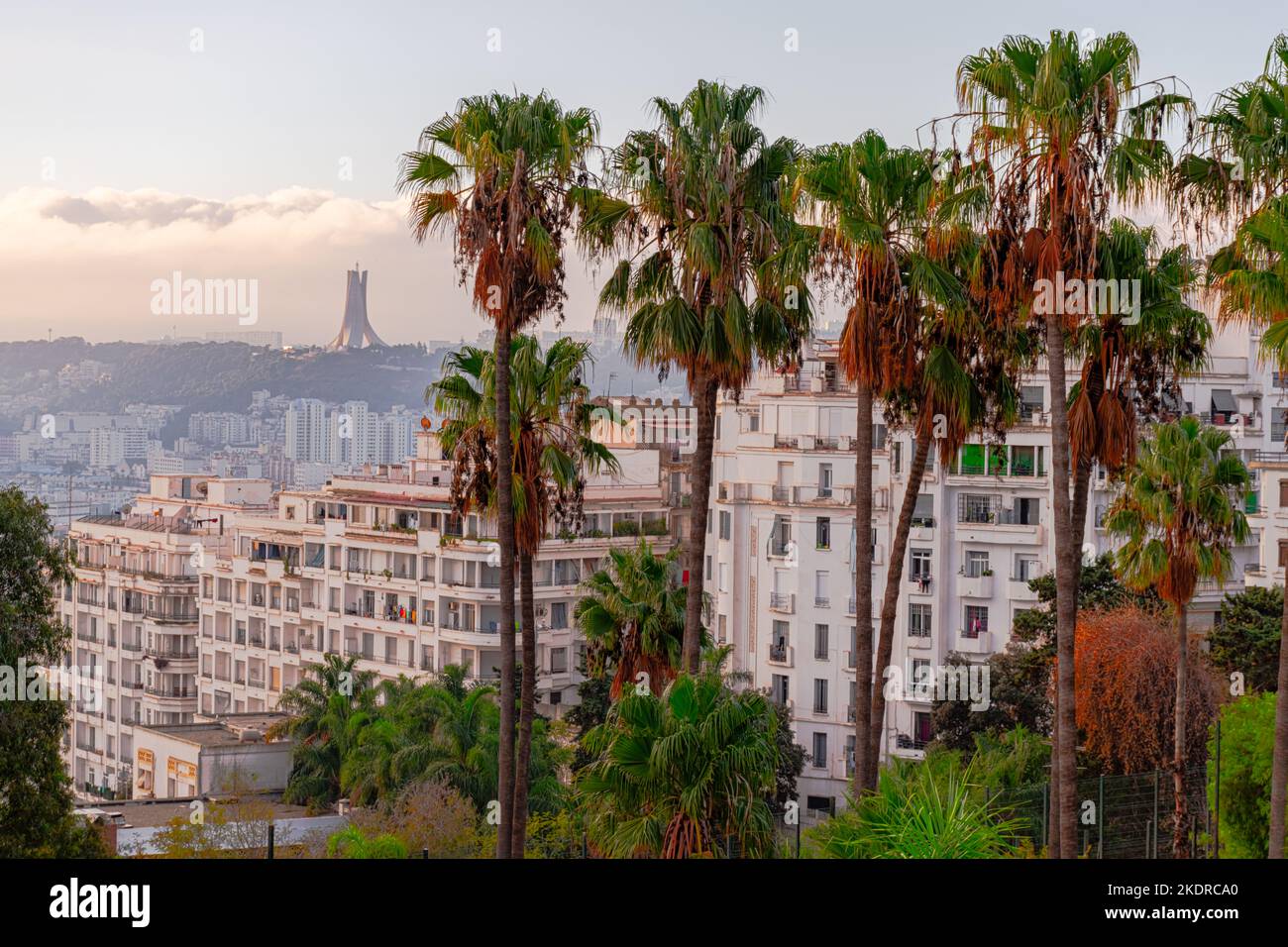 The Martyr's Memorial National Monument of Algiers seen from Ave du Docteur Frantz Fanon, El Djazair. Palm trees and buildings in blue hour lights. Stock Photo
