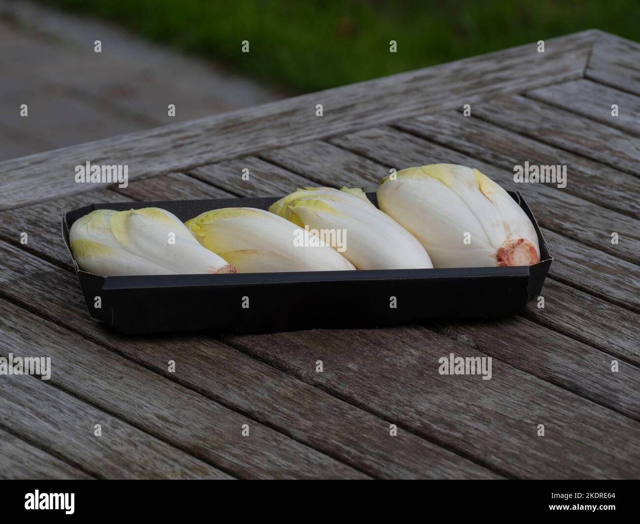 chicory endive on a black dish on a wooden table Stock Photo