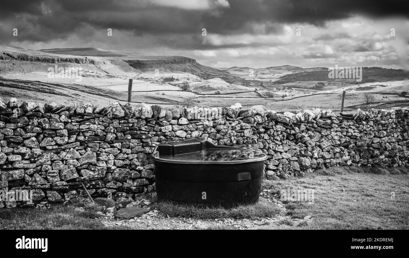 04.11.2022, Austwick, Craven, North Yorkshire,  Water feeder for farmstock in Crummockdale above Austwick in the Yorkshire Dales Stock Photo