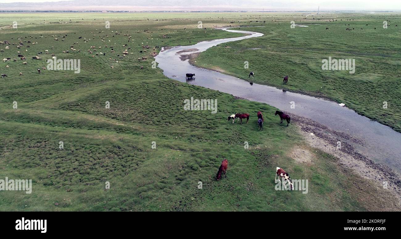 Xinjiang barkol: meander of the grasslands Stock Photo