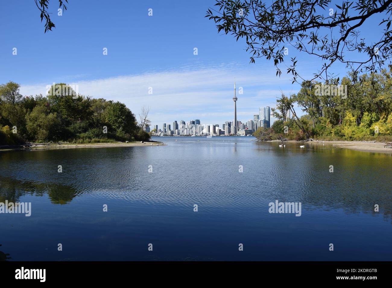 Toronto skyline from cn tower hi-res stock photography and images - Alamy