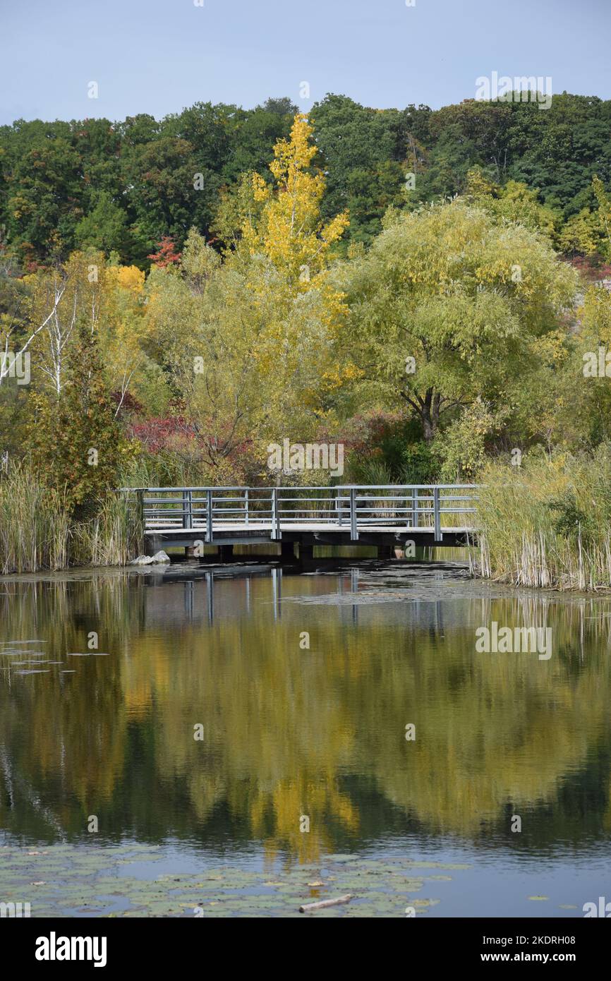 Toronto trees water hi-res stock photography and images - Alamy