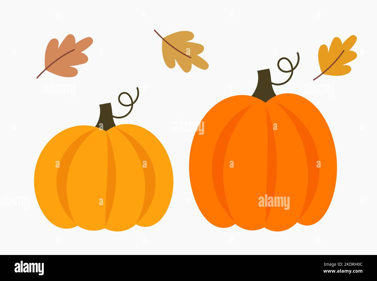 Autumn pumpkins and leaves isolated on white background. Vector ...