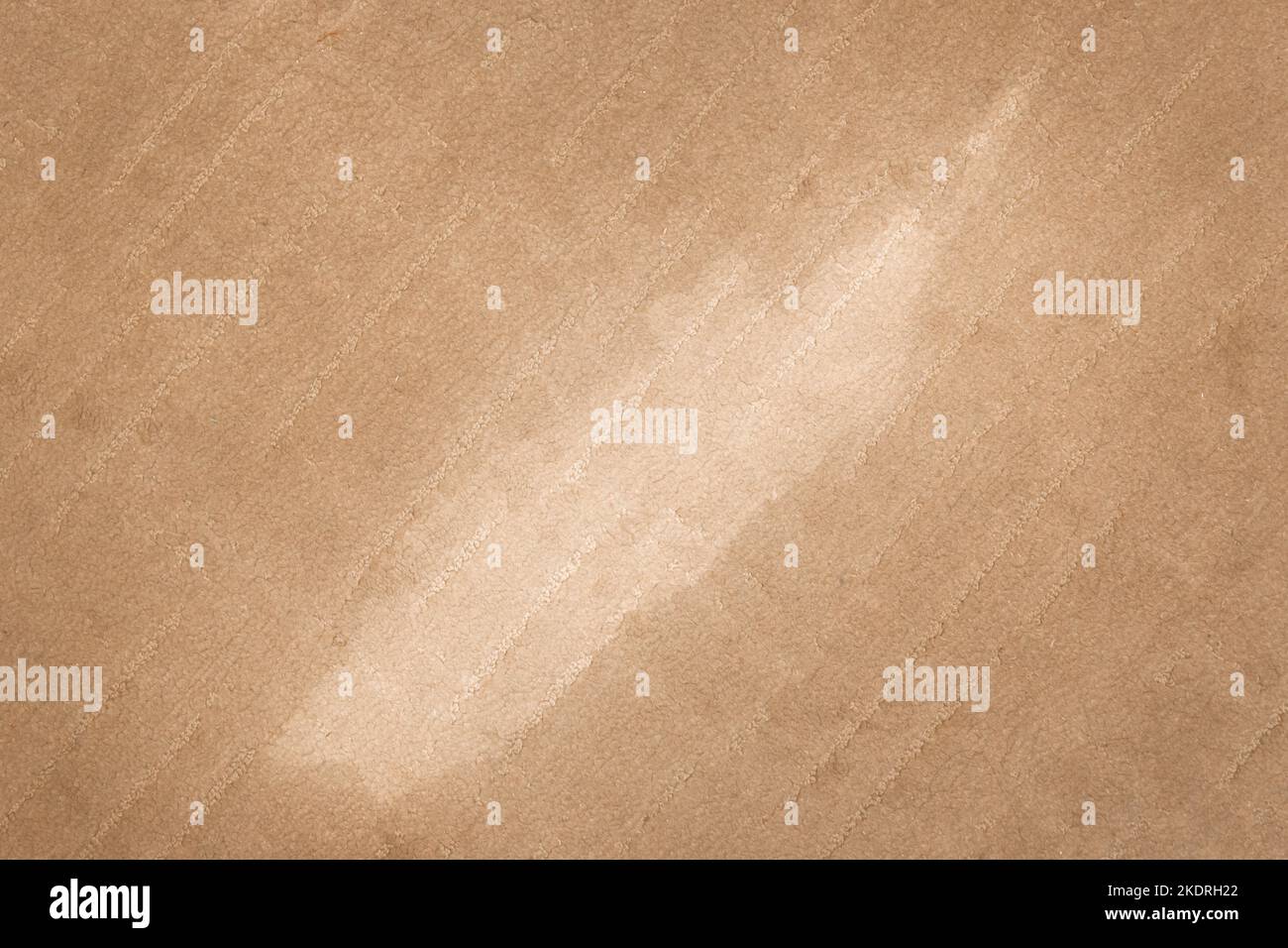 White spot on brownbeige carpet, dirty stain on floor accident with