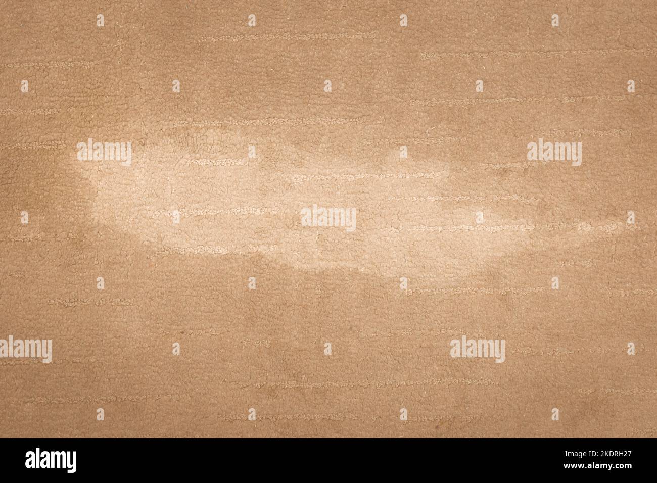 White spot on brownbeige carpet, dirty stain on floor accident with