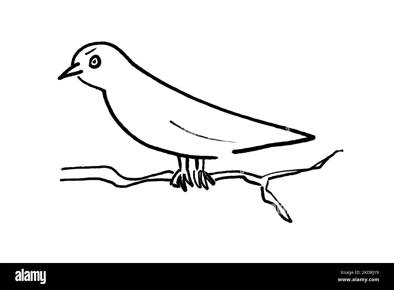Simple Bird On Branch Drawing