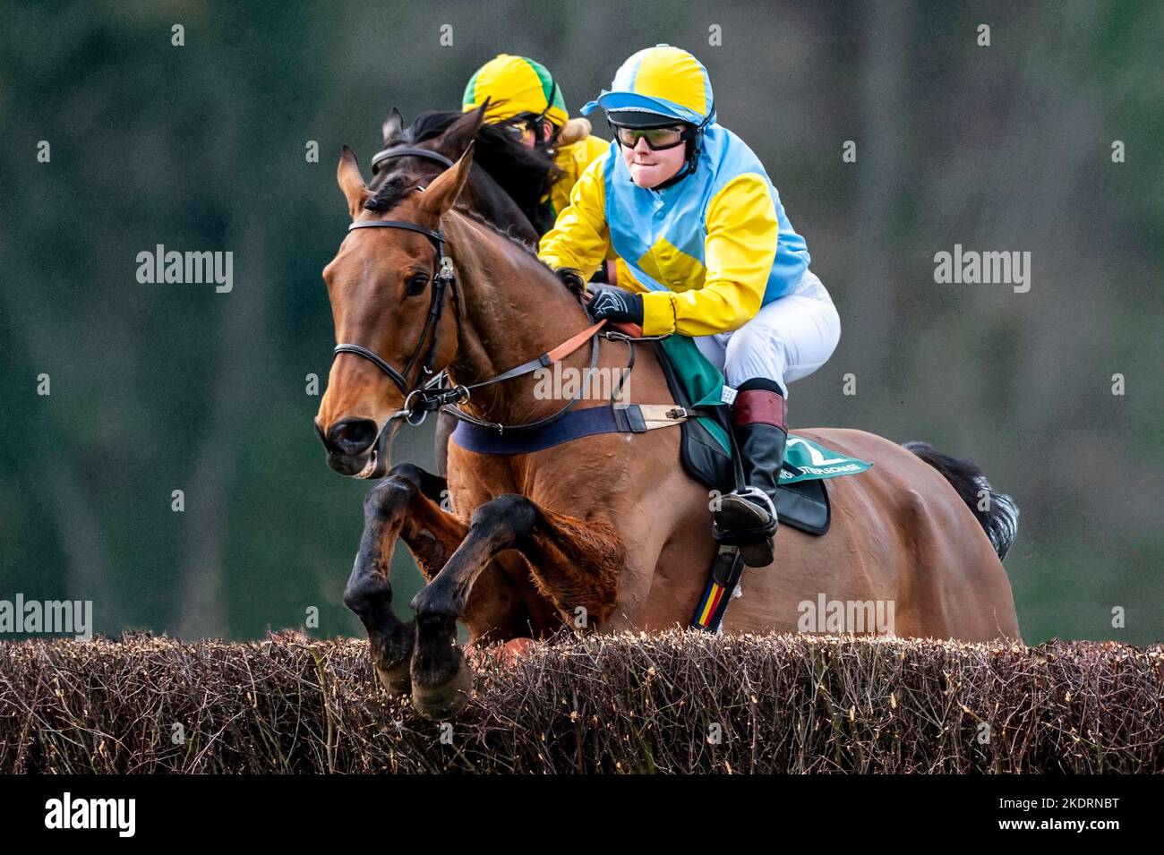 Photograph of a horse jumping over hurdles at a Point to Point meeting