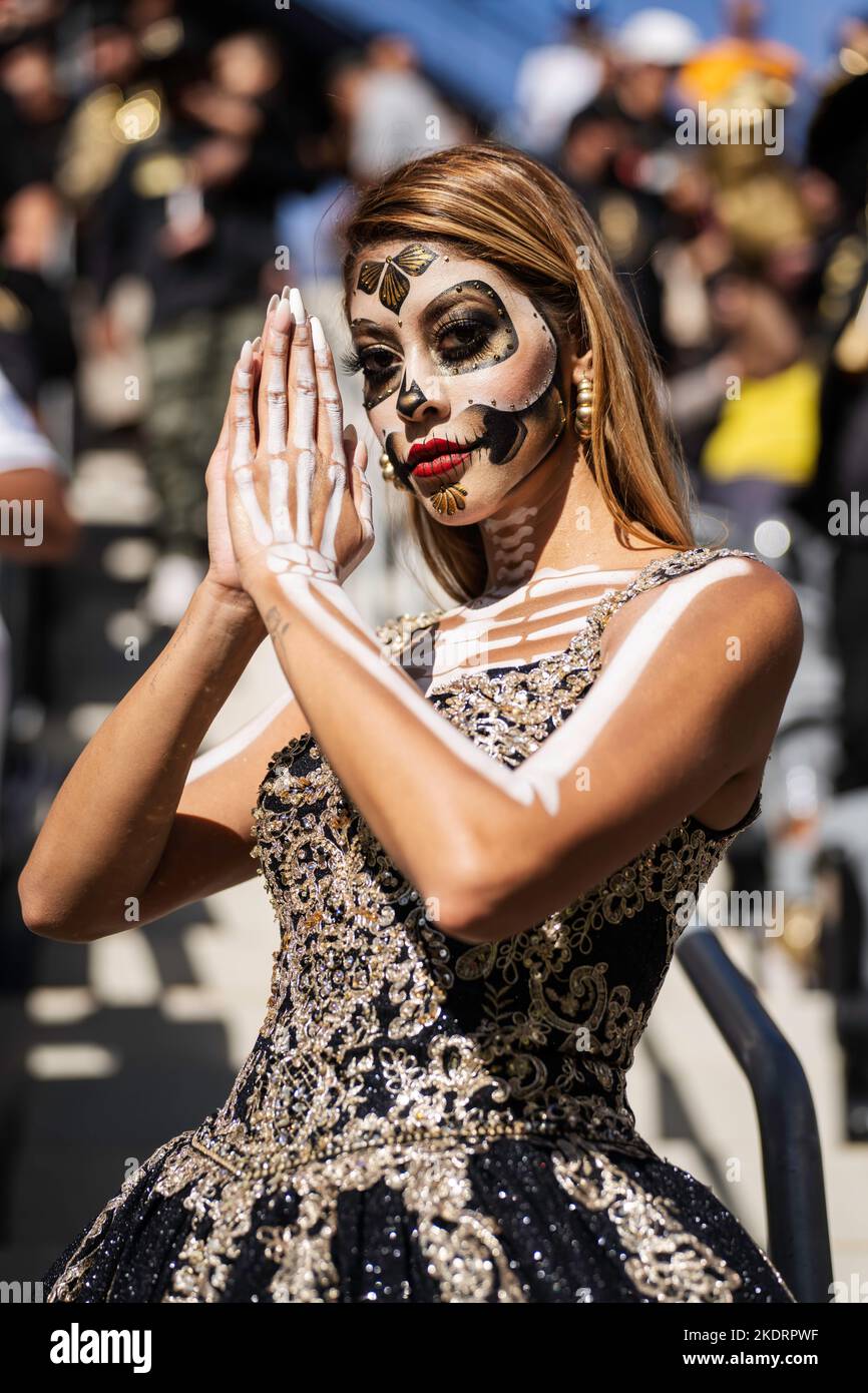 los-angeles-fc-fan-during-the-mls-cup-match-against-the-philadelphia