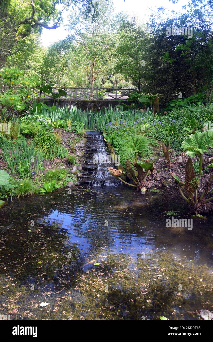 Water Flowing Down Stone Steps into the Lake at RHS Garden Rosemoor, Torrington, Devon, England, UK. Stock Photo