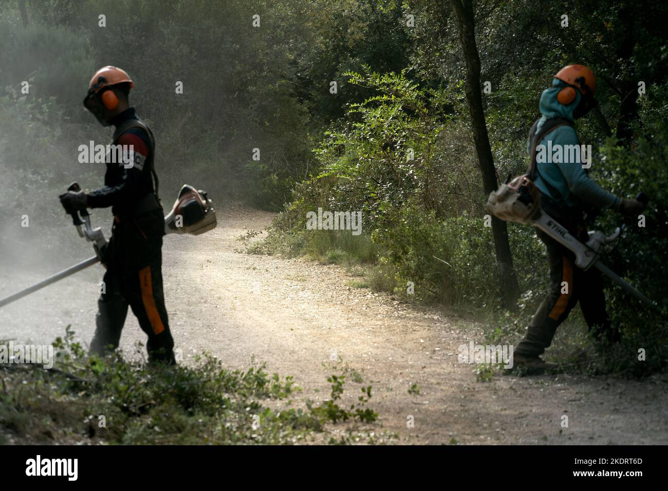 Barcelona, Spain - October 26, 2022: Two people equipped with brush cutters clear a path in the forest Stock Photo