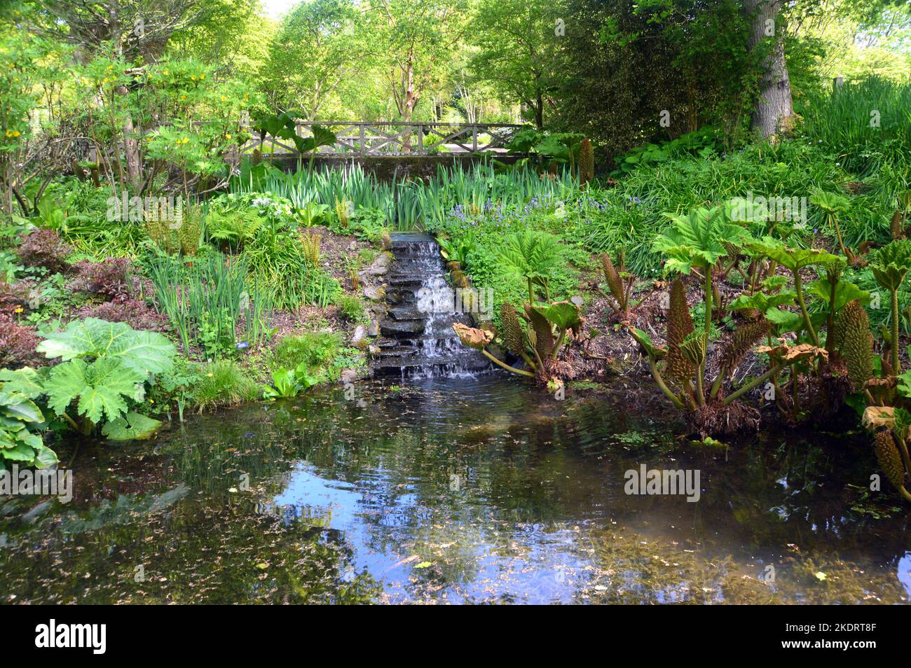 Water Flowing Down Stone Steps into the Lake at RHS Garden Rosemoor, Torrington, Devon, England, UK. Stock Photo