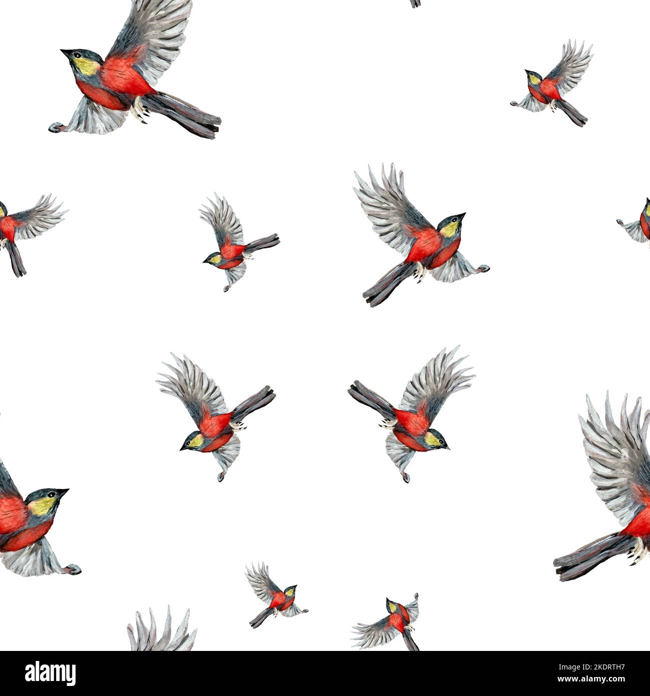 Bird flying red pattern a watercolor illustration Stock Photo